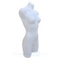 Female Plastic Torso White