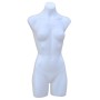 Female Plastic Torso White