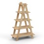 Wooden LADDER Display Shelf